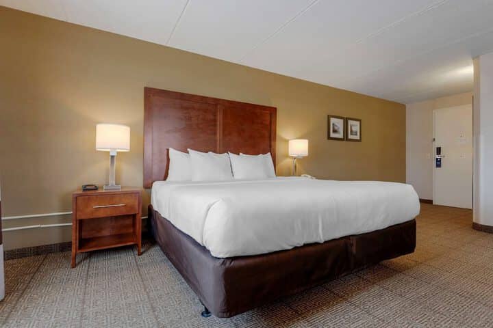 Room 42 of 80